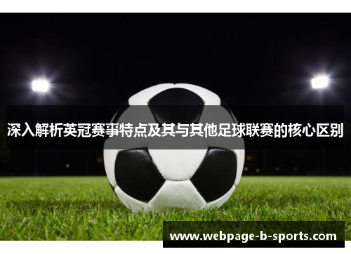 深入解析英冠赛事特点及其与其他足球联赛的核心区别